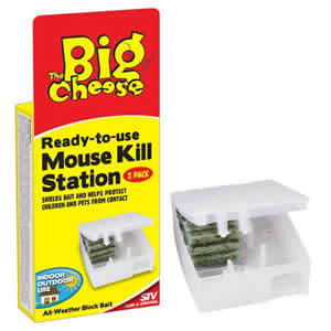 The Big Cheese Ready to Use Mouse Trap 2 per pack
