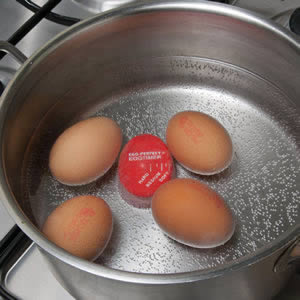 Caraselle Egg-Perfect Egg Timer.  Changes colour as the eggs cook
