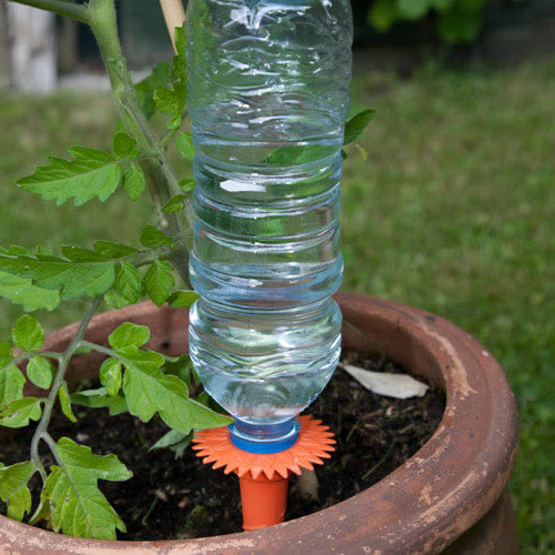 Watering Spikes Homebase-An ultimate plant watering solution