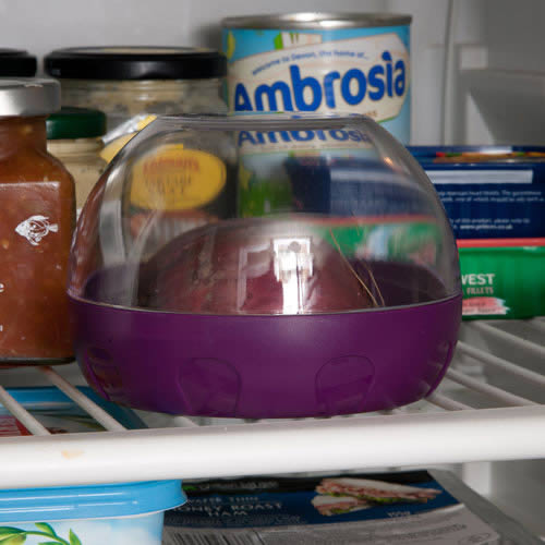 Caraselle Onion Keeper