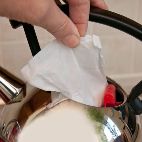 Caraselle Quickshine Universal Descaler in a DropIn Bag 75g London