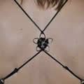 The Caraselle Deluxe Alterback Clasps for Backless Fashion