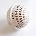 The Caraselle Bra Wash Ball