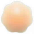 The Caraselle Re-Useable Nipple Covers � 1 pair
