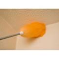 high reach duster