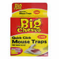 getting rid of rats, mouse trap cheese
