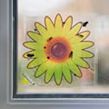 1 pack of Four window Fly Stickers - attracts & kills flies. No pesticides or odour