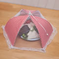Caraselle Collapsible Polyester Mesh Food Cover in Red Gingham 42cm dia