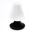 Caraselle Salt & Pepper Shaker in Black & White Table Lamp Design