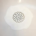 Shower Waste Trap