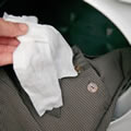 The Caraselle Dr Beckmann Dry-Clean Only Cleaner