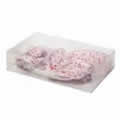 Transparent Lingerie Storage Box