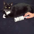 The Caraselle Cat Hair Remover with 7.5m of Sticky!