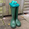 Caraselle WelliTop Clip On Cover for Wellies. The modern way to store Wellie Boots.