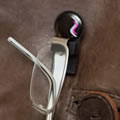 Spectacle Holder
