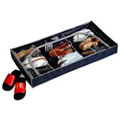 Under bed shoe storage chest