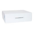 1 Small White Storage Box