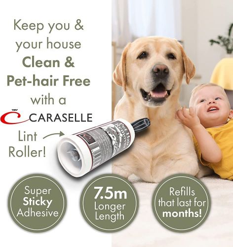 Caraselle Lint Rollers for Pet Hair - Cat & Dog Hair Remover, Lint Roller  for Clothes, Furniture, Bedding, Car Interiors, Carpet, Picks up Lint, Hair,  Fluff, Debris, 3 x  Lint Rollers + 20 Refills