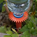 Caraselle Pack of 6 Watering Spikes - the best plant watering solution