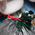 plastic bag clip